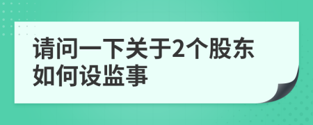 请问一下关于2个股东如何设监事