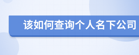 该如何查询个人名下公司