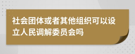 社会团体或者其他组织可以设立人民调解委员会吗