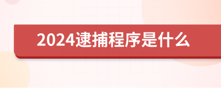 2024逮捕程序是什么