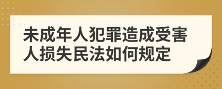 未成年人犯罪造成受害人损失民法如何规定