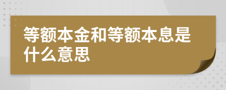 等额本金和等额本息是什么意思