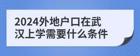2024外地户口在武汉上学需要什么条件
