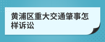 黄浦区重大交通肇事怎样诉讼