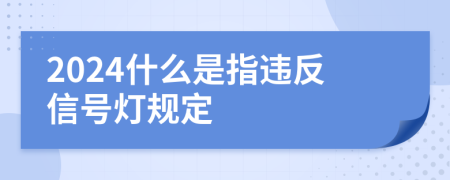 2024什么是指违反信号灯规定