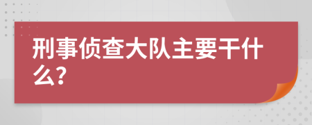 刑事侦查大队主要干什么？
