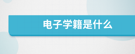 电子学籍是什么