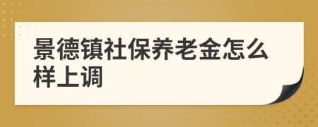 景德镇社保养老金怎么样上调