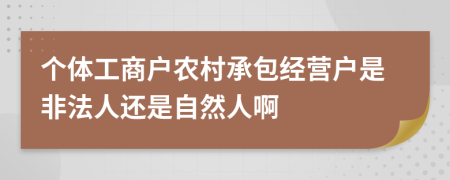 个体工商户农村承包经营户是非法人还是自然人啊