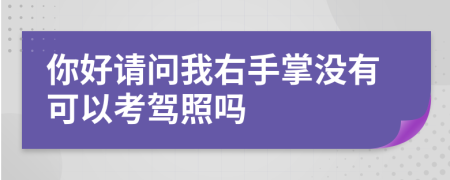 你好请问我右手掌没有可以考驾照吗
