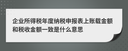 企业所得税年度纳税申报表上账载金额和税收金额一致是什么意思