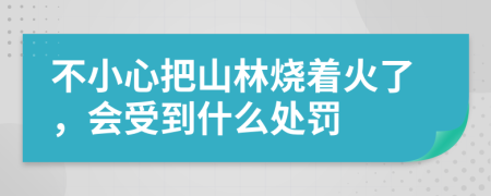 不小心把山林烧着火了，会受到什么处罚