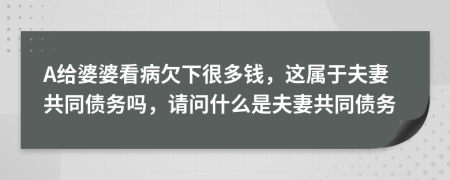 A给婆婆看病欠下很多钱，这属于夫妻共同债务吗，请问什么是夫妻共同债务