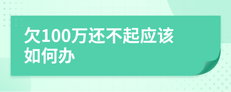 欠100万还不起应该如何办