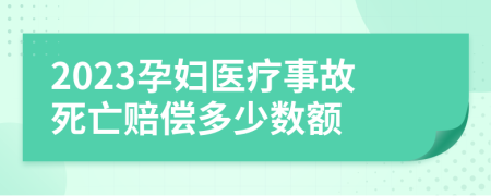2023孕妇医疗事故死亡赔偿多少数额