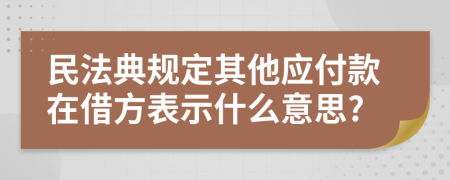 民法典规定其他应付款在借方表示什么意思?