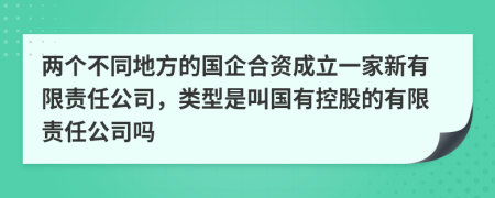 两个不同地方的国企合资成立一家新有限责任公司，类型是叫国有控股的有限责任公司吗
