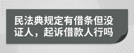 民法典规定有借条但没证人，起诉借款人行吗