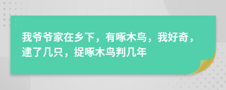 我爷爷家在乡下，有啄木鸟，我好奇，逮了几只，捉啄木鸟判几年