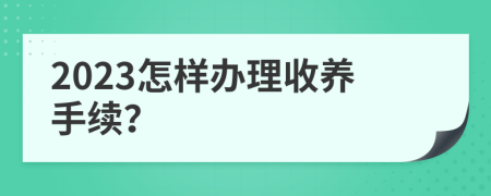 2023怎样办理收养手续？
