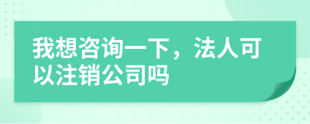 我想咨询一下，法人可以注销公司吗