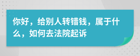 你好，给别人转错钱，属于什么，如何去法院起诉
