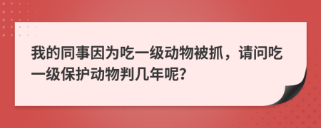 我的同事因为吃一级动物被抓，请问吃一级保护动物判几年呢？
