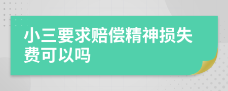 小三要求赔偿精神损失费可以吗