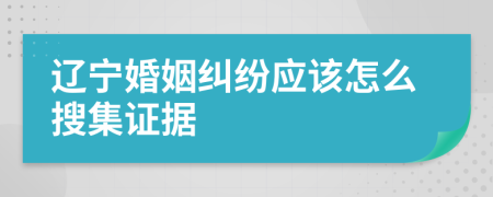辽宁婚姻纠纷应该怎么搜集证据
