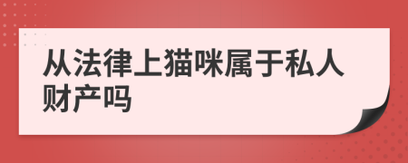 从法律上猫咪属于私人财产吗