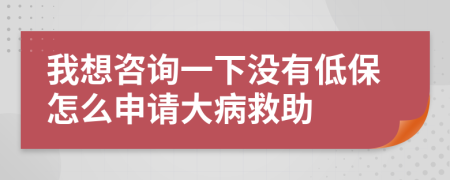 我想咨询一下没有低保怎么申请大病救助