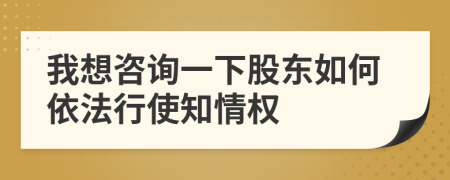 我想咨询一下股东如何依法行使知情权