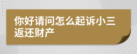 你好请问怎么起诉小三返还财产