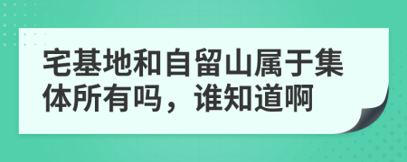 宅基地和自留山属于集体所有吗，谁知道啊