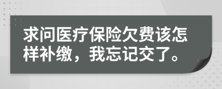 求问医疗保险欠费该怎样补缴，我忘记交了。