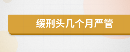 缓刑头几个月严管