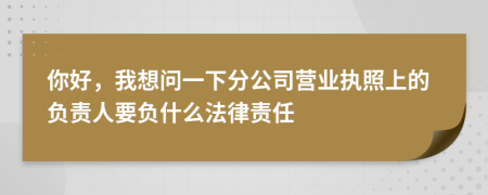 你好，我想问一下分公司营业执照上的负责人要负什么法律责任