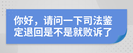 你好，请问一下司法鉴定退回是不是就败诉了