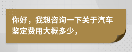 你好，我想咨询一下关于汽车鉴定费用大概多少，