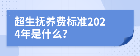 超生抚养费标准2024年是什么？