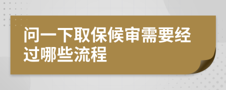问一下取保候审需要经过哪些流程