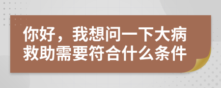 你好，我想问一下大病救助需要符合什么条件