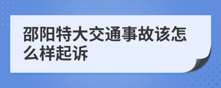 邵阳特大交通事故该怎么样起诉