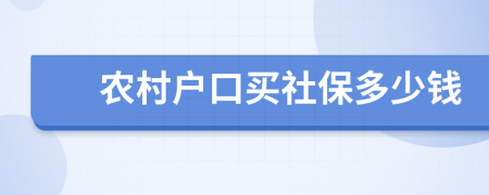 农村户口买社保多少钱