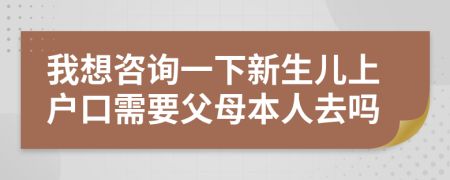 我想咨询一下新生儿上户口需要父母本人去吗