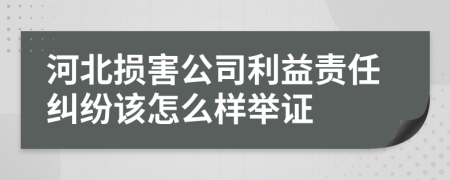 河北损害公司利益责任纠纷该怎么样举证