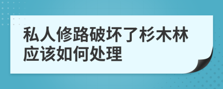 私人修路破坏了杉木林应该如何处理