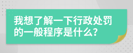 我想了解一下行政处罚的一般程序是什么？