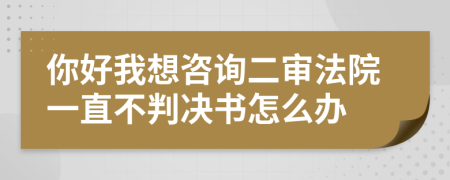 你好我想咨询二审法院一直不判决书怎么办