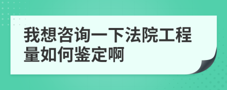 我想咨询一下法院工程量如何鉴定啊